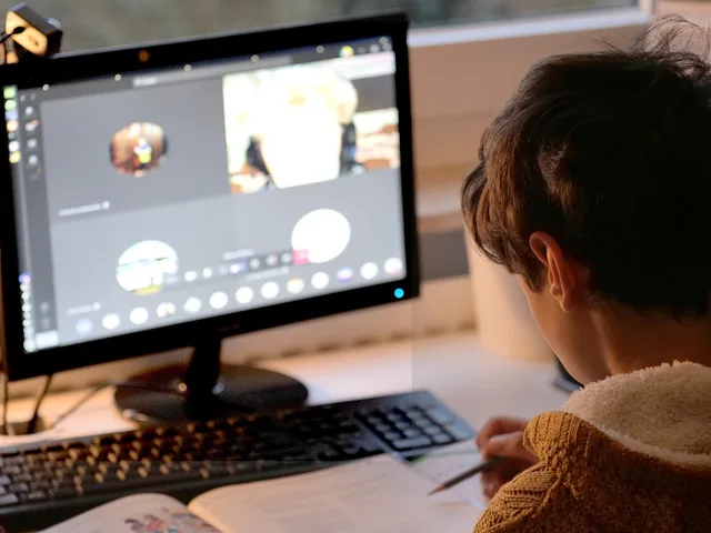 child, student, video conference, computer, monitor, screen, webcam, video call, education, e-learning, distance learning, homeschooling, online learning, technology, kid, young, study, learning, lesson, video conference, webcam, video call, video call, distance learning, online learning, online learning, online learning, online learning, online learning. Choosing a video format for a specific customer question