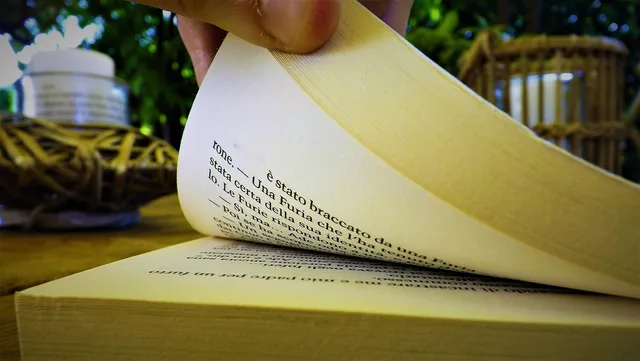 summer, book, percy, jackson, culture, open book, pages, page, written, nature, instruction, library, reading. Deciding when a written guide works better than video